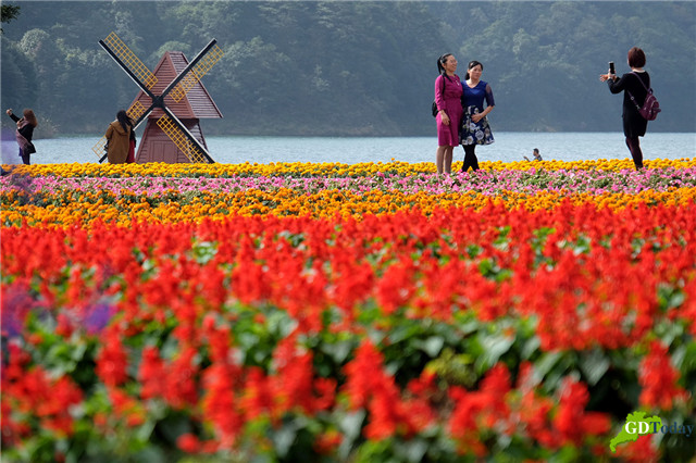 Shimen National Forest has its own tulips flower festival